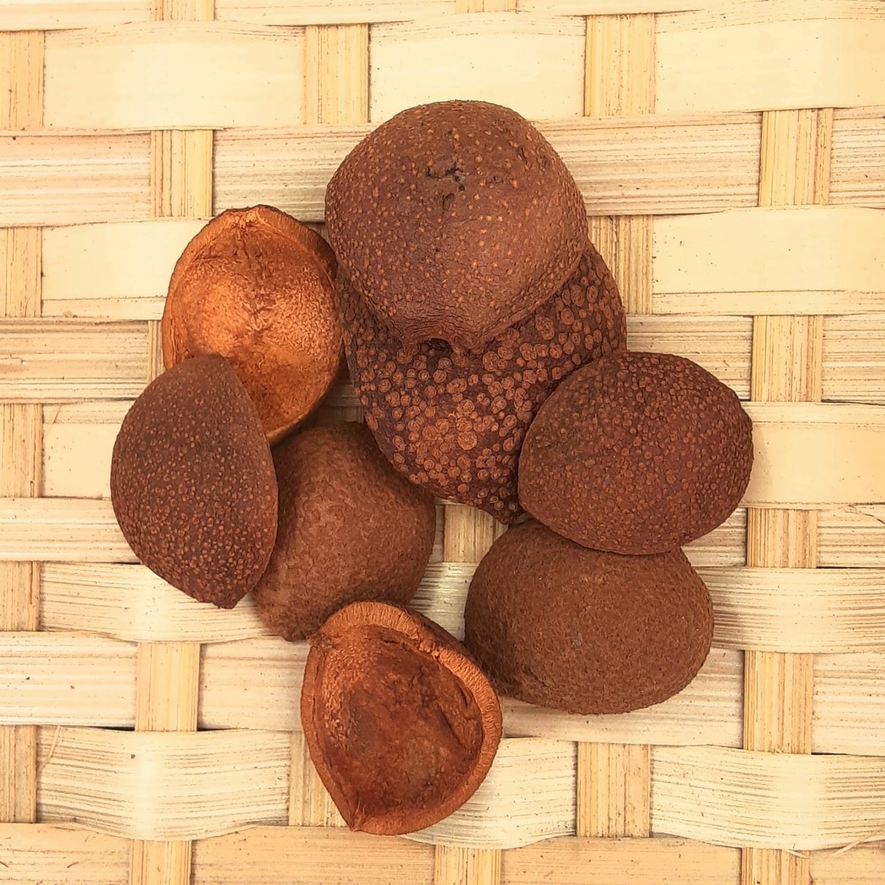 栃の実 20kg 2025.9.19採集 トチノミ トチの実 モチモチの木 栃の実 20kg 2025.9.19採集 トチノミ トチの実 モチモチの木 みたき