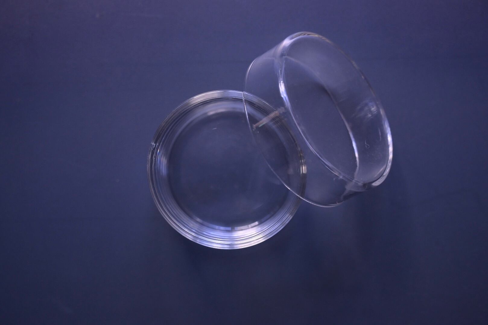 小泉硝子製作所 futa to miセット (φ 60 mm x H 30 mm) | 鎌倉倶楽部 茶寮