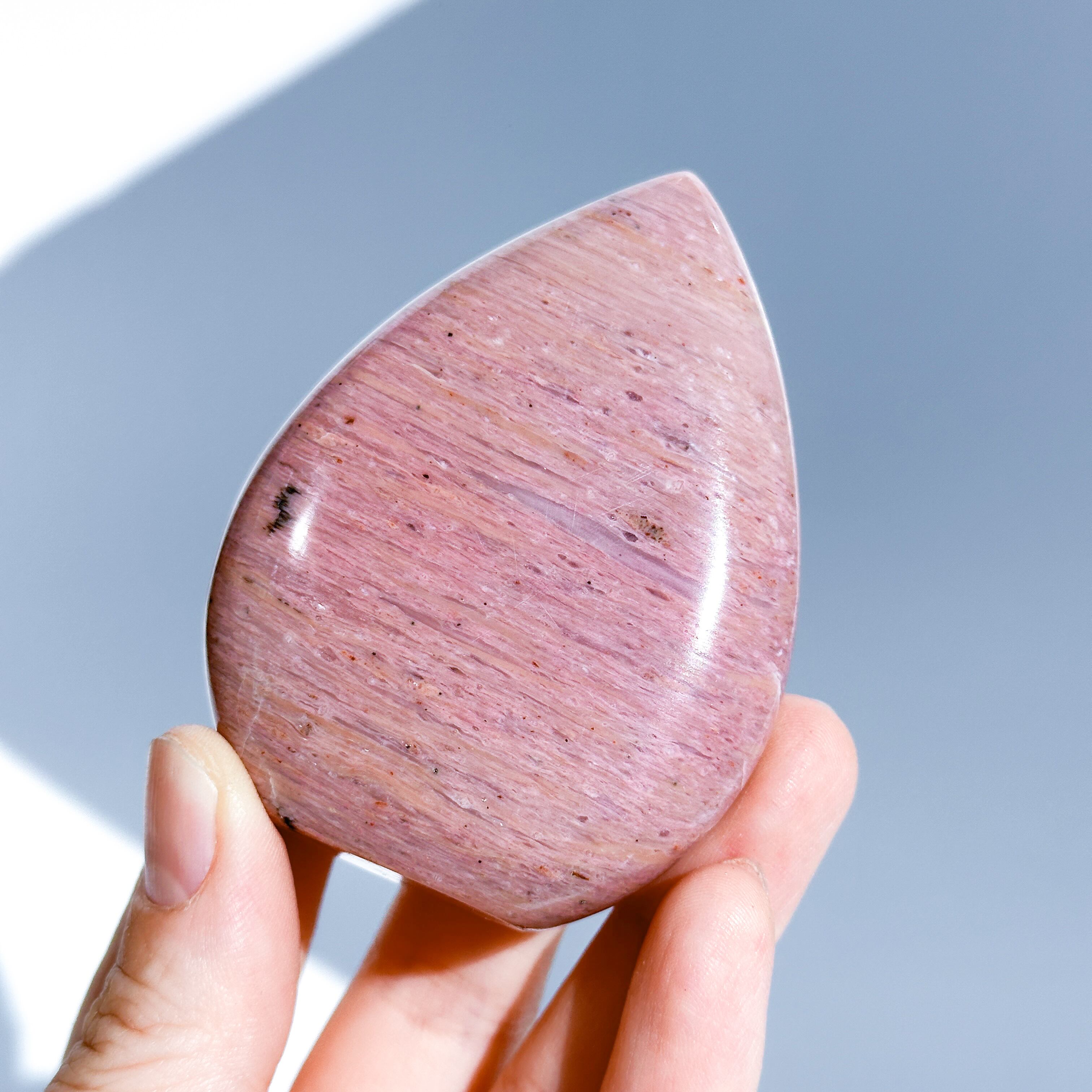ピンクペトリファイドウッド しずく型12◇Pink Petrified Wood