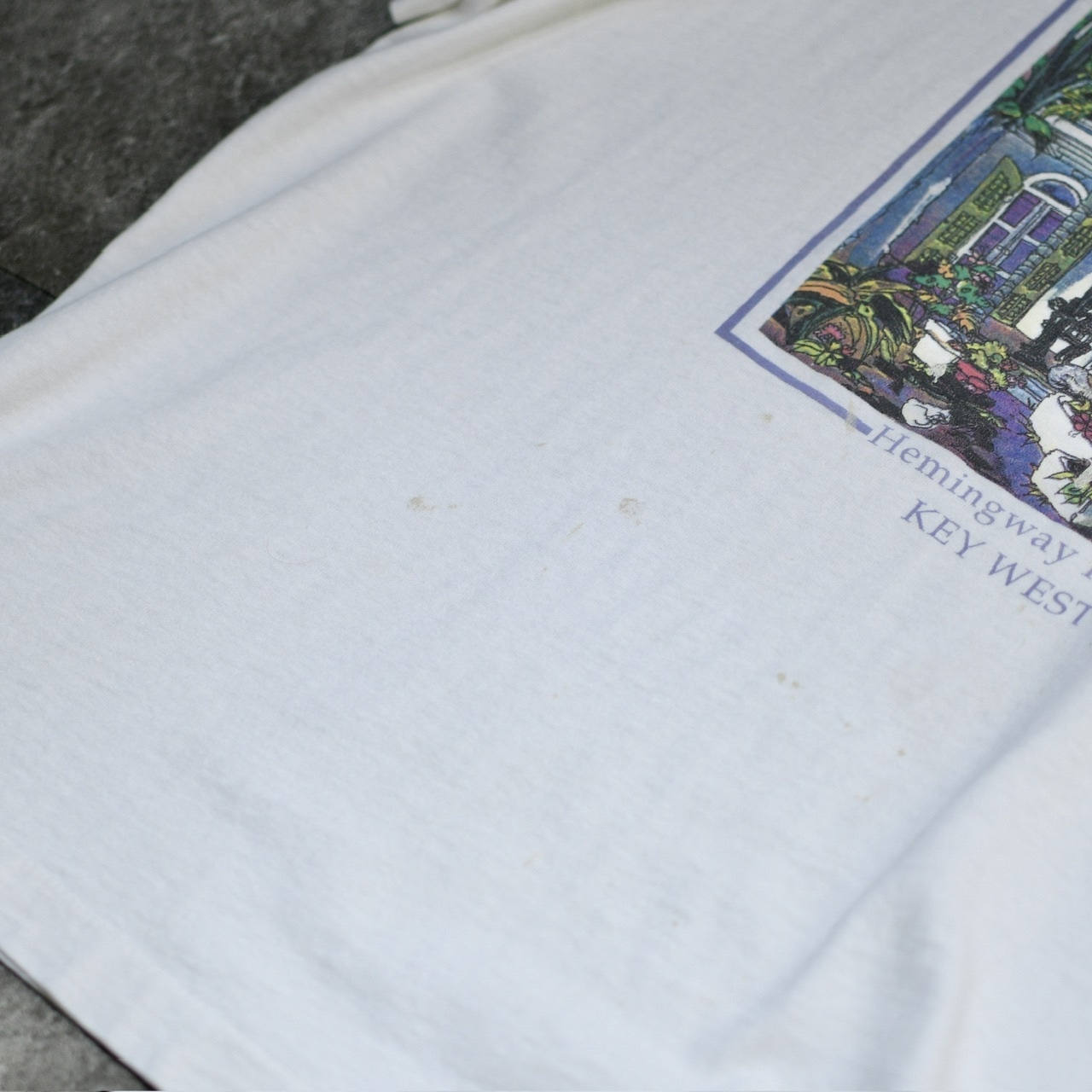 88's Hemingway house cat print tee