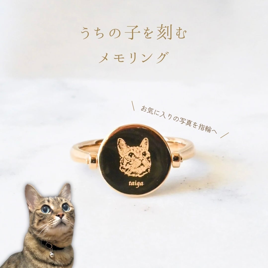 ペットの毛で作るジュエリー】メモリング-シンプルなフクリン ペットの毛で作るジュエリー】メモリング-シンプルなフクリン