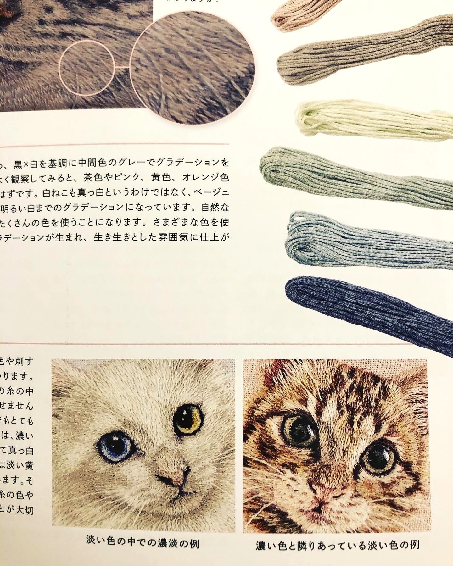 ねこ刺繍レッスン　hiroko著 ねこ刺繍レッスン hiroko(著) - グラフィック社 | 版元ドットコム