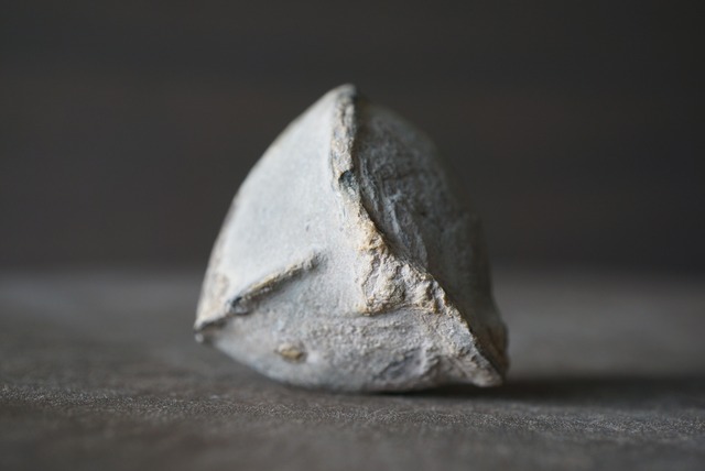 セプタリアン 特殊 Septarian 1187