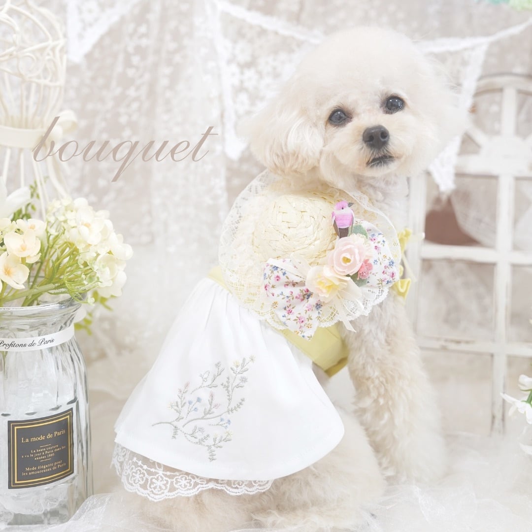 咲花様オーダー品　hanahana犬服ハンドメイド hannah