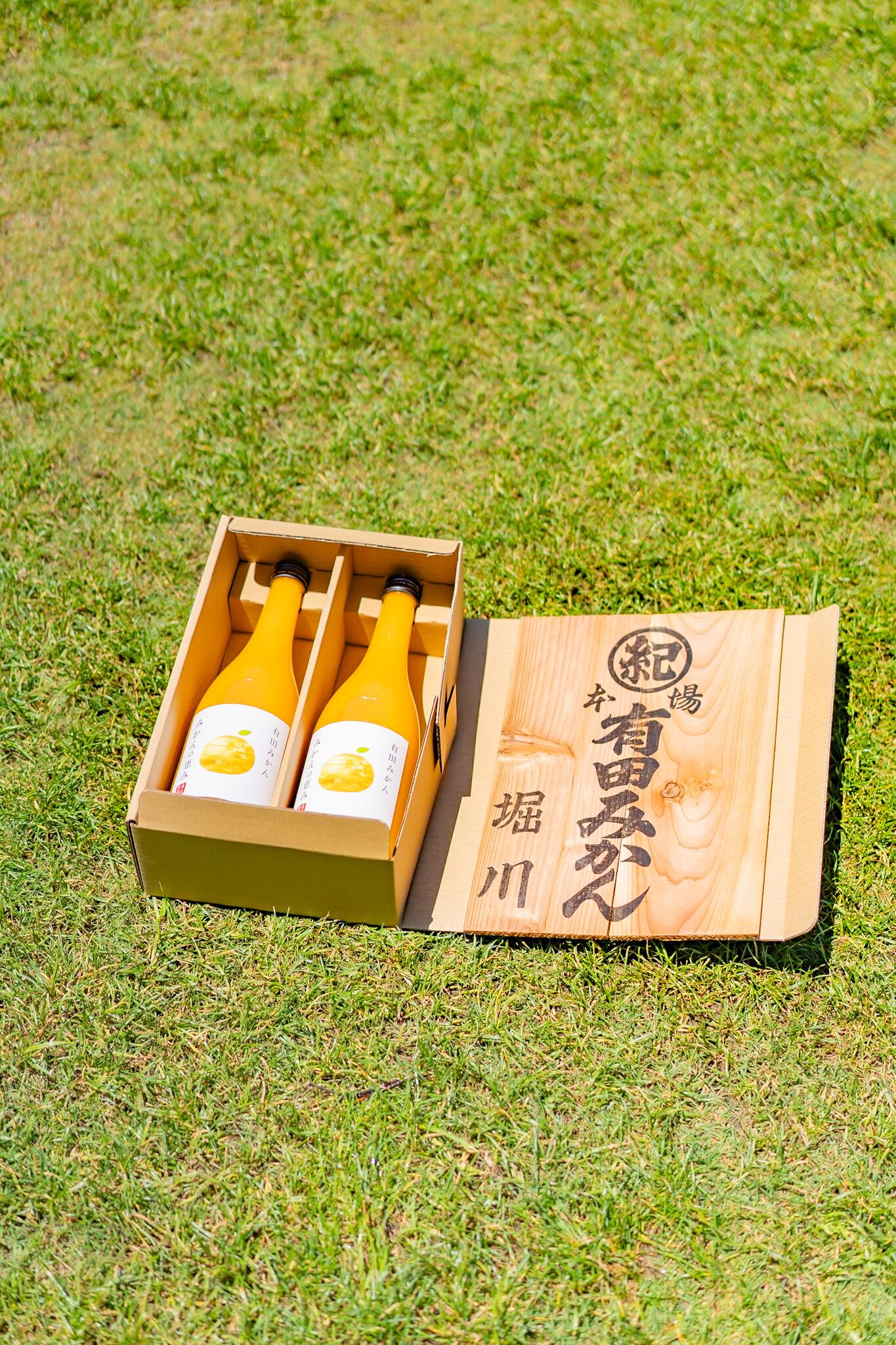 化粧箱入】有田みかん みかんの恵み 720ml×2本セット | ありだの堀川農園