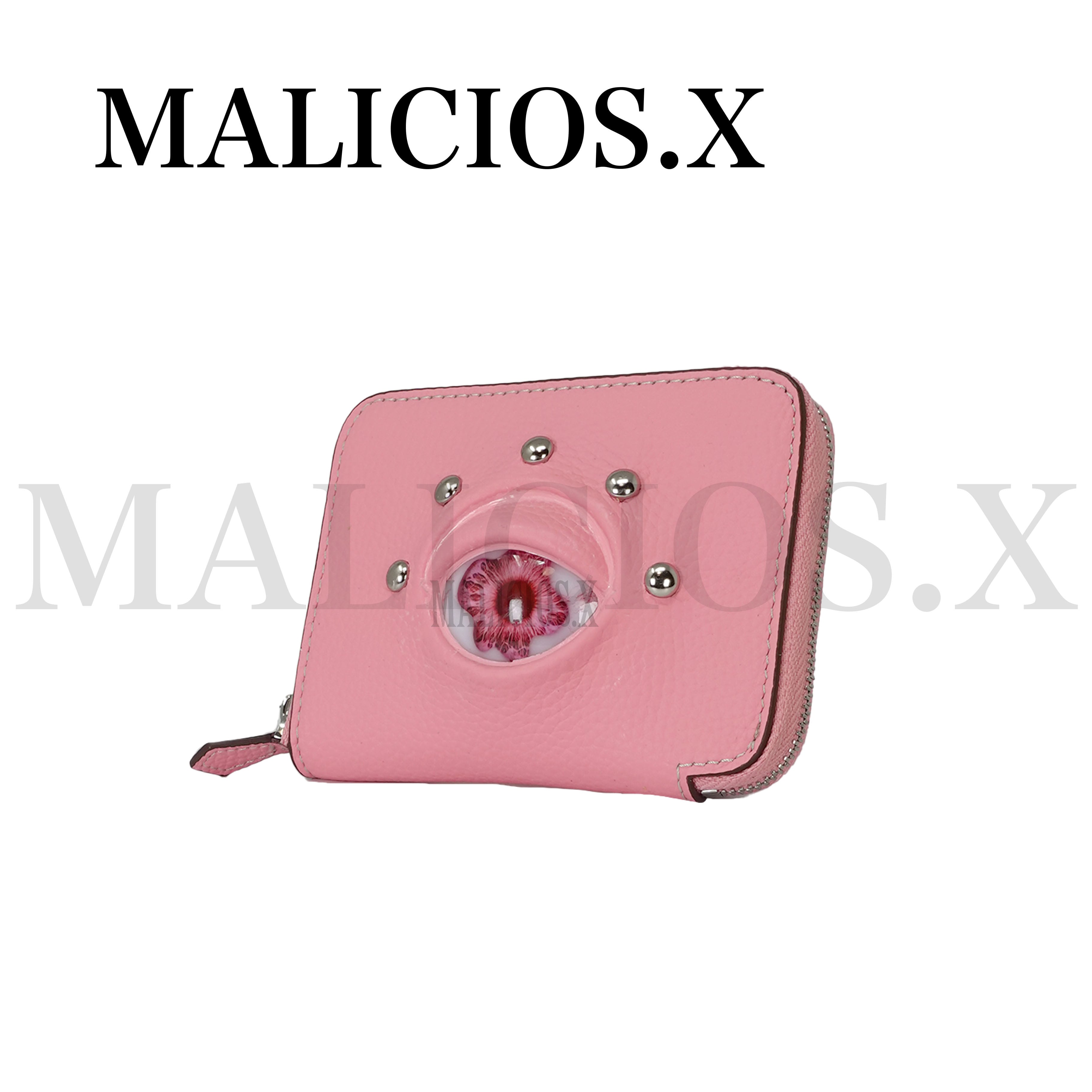 WALLET | MALICIOUS.X