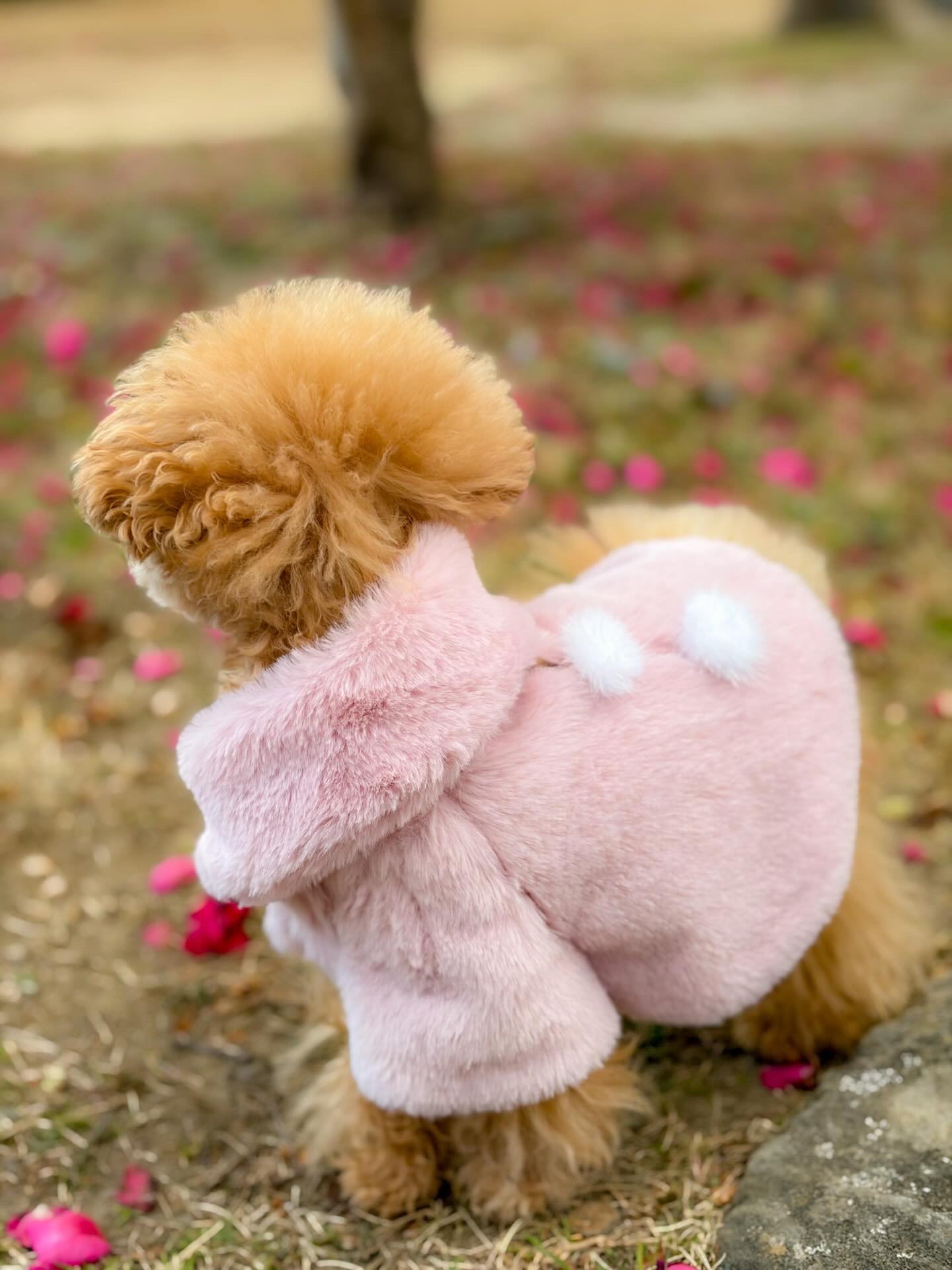 ラビットフェイクファー・コート（スフレピンク） | plumeluxe