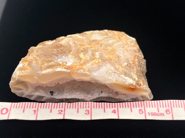 オープンジオード