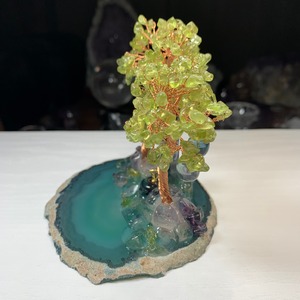 2.ペリドット招財樹×フローライトねこ