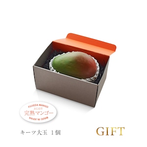 【ギフト】ギュッと爽やかな美味しさ!キーツ1個入り