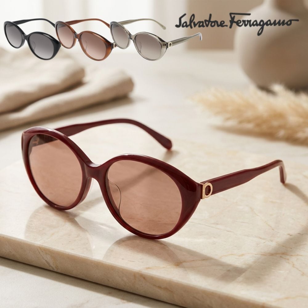 極美品Salvatore Ferragamoサングラス ガンチーニ付属品完備 Salvatore Ferragamo サングラス アイウェア 56□16 ガンチーニ 小物