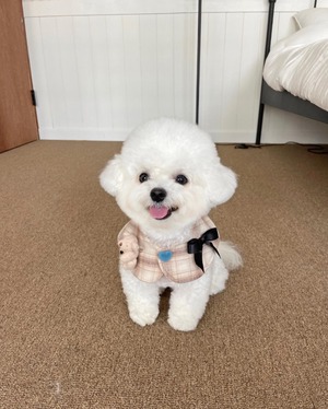 即納【hugmemore】dori cape brown