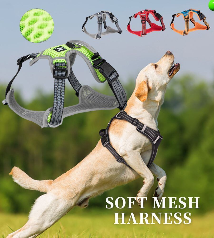 犬用品 NEIGHBORHOOD DOG HARNESS M グレー