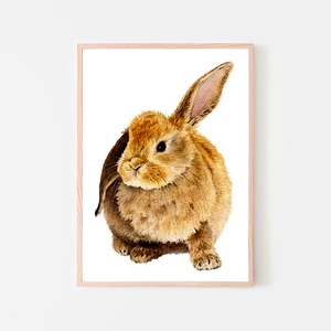 うさぎ / アートポスター 水彩画 イラスト アートプリント 2L〜 動物 兎 ウサギ キッズ アニマル 子供部屋