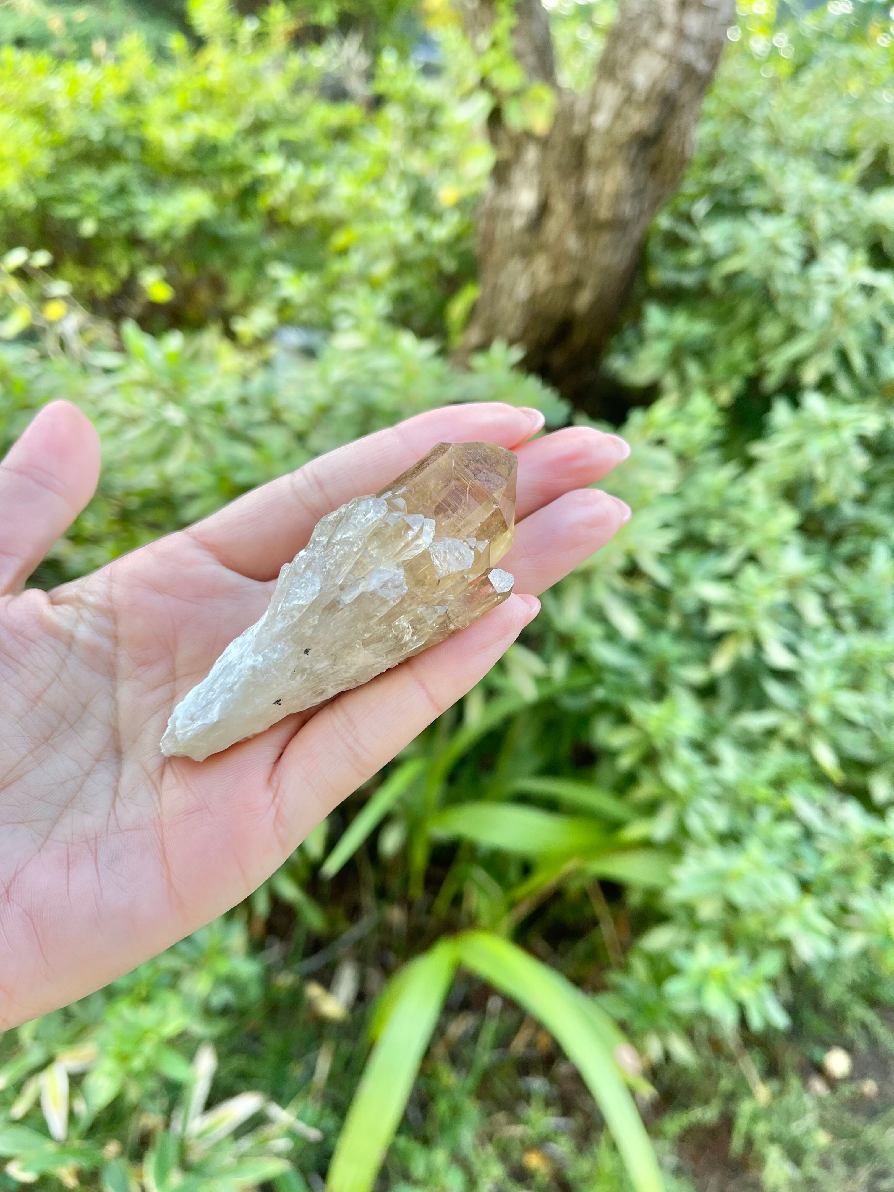 コンゴ産　高品質クンダリーニクォーツ