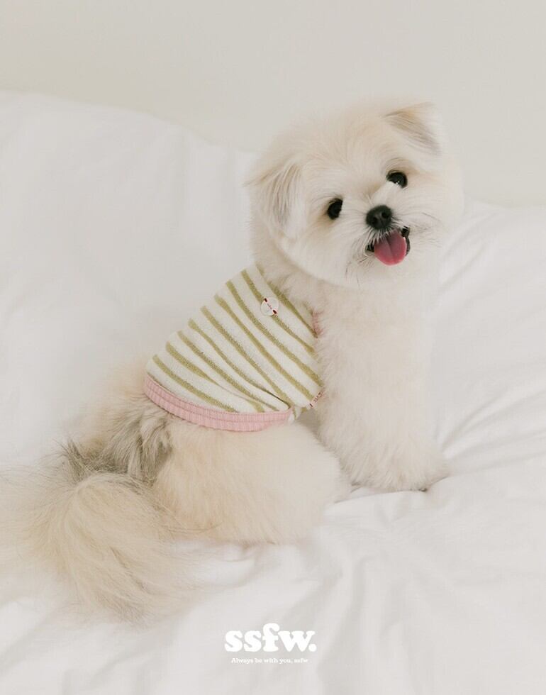 S.M.L/即納【SSFW】Gelato Terry Top (Pistachio)