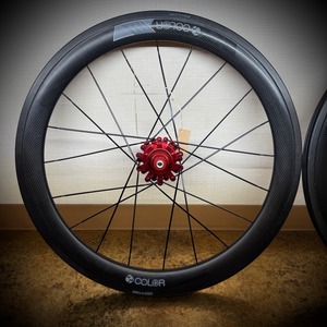 colorplus carbon wheelセット【Birdy用20in F20/R24】