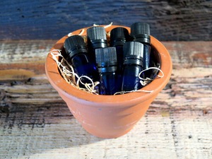 聖油「天の父の愛」アノインティングオイル 15ml　（従来の5mlから15mlに量を改定）