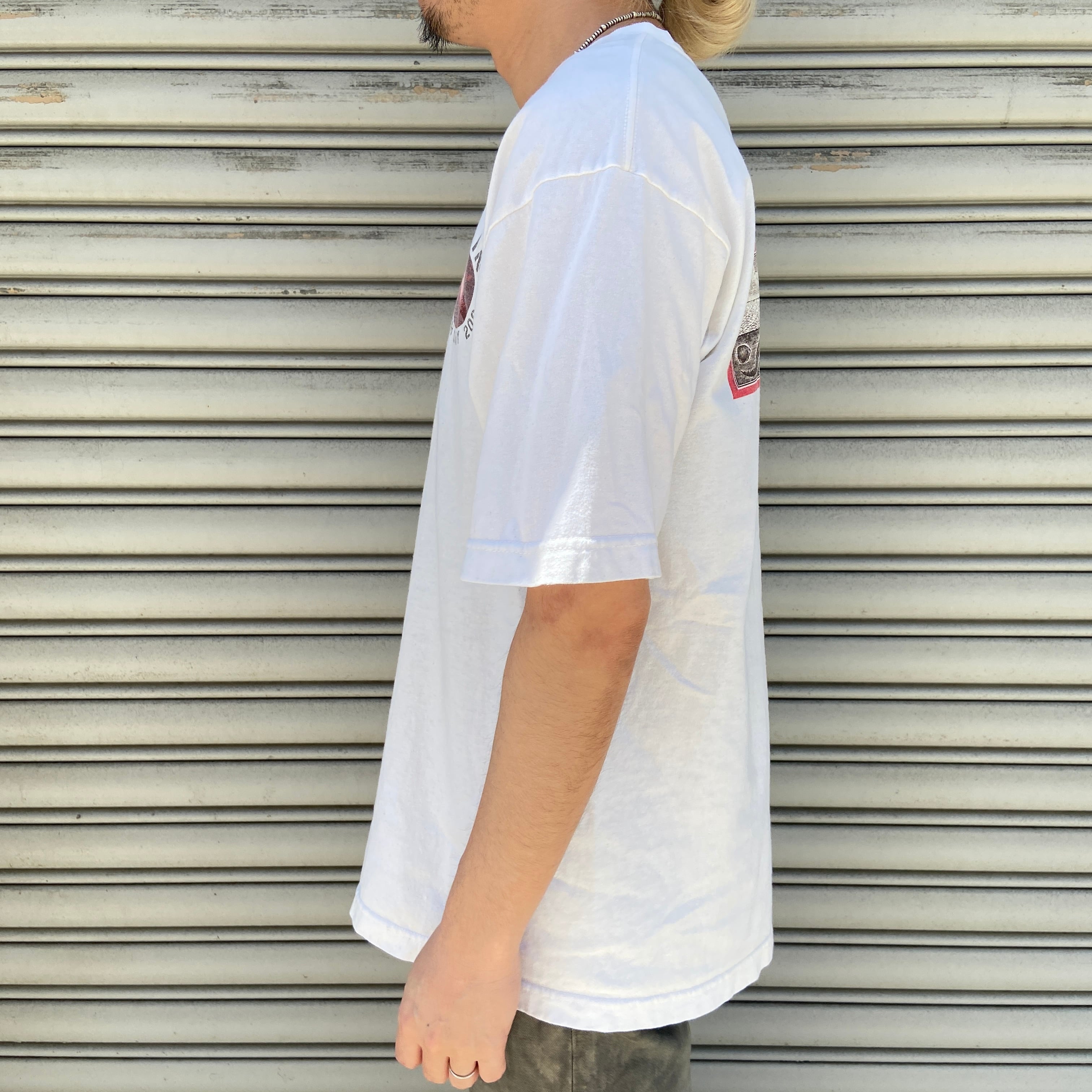 レア 00s USA製 パタゴニア ベネフィシャルTシャツ キナリ M 環境保護