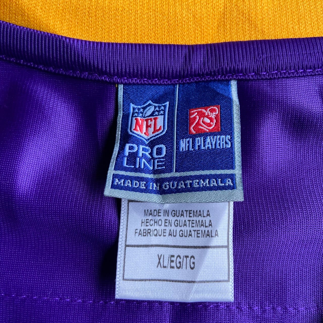 NFL ミネソタ・ヴァイキングス エイドリアン・ピーターソン ゲーム