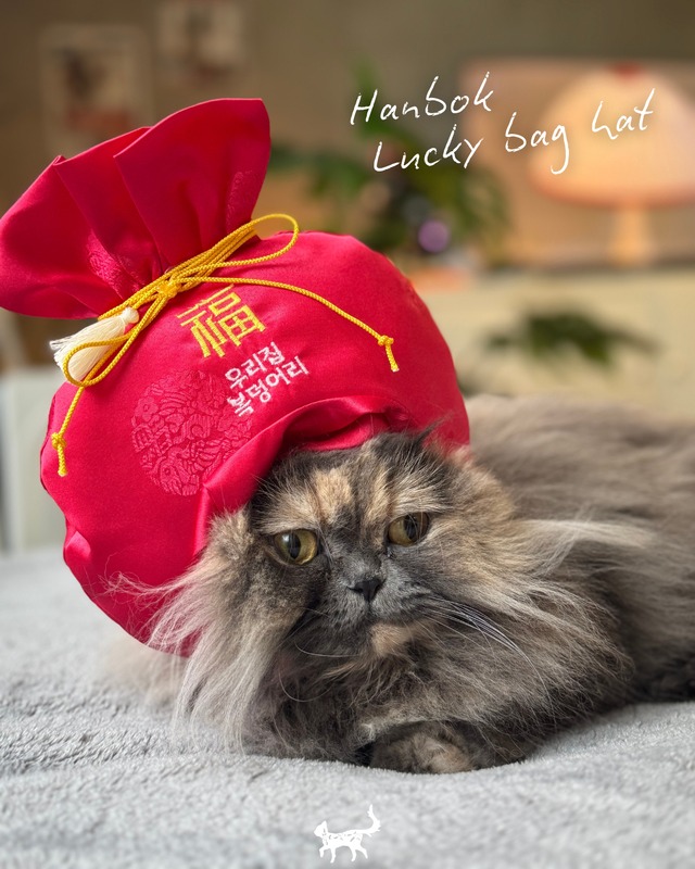 即納【tak!tak!tak!tak!】ハンボク福袋帽子