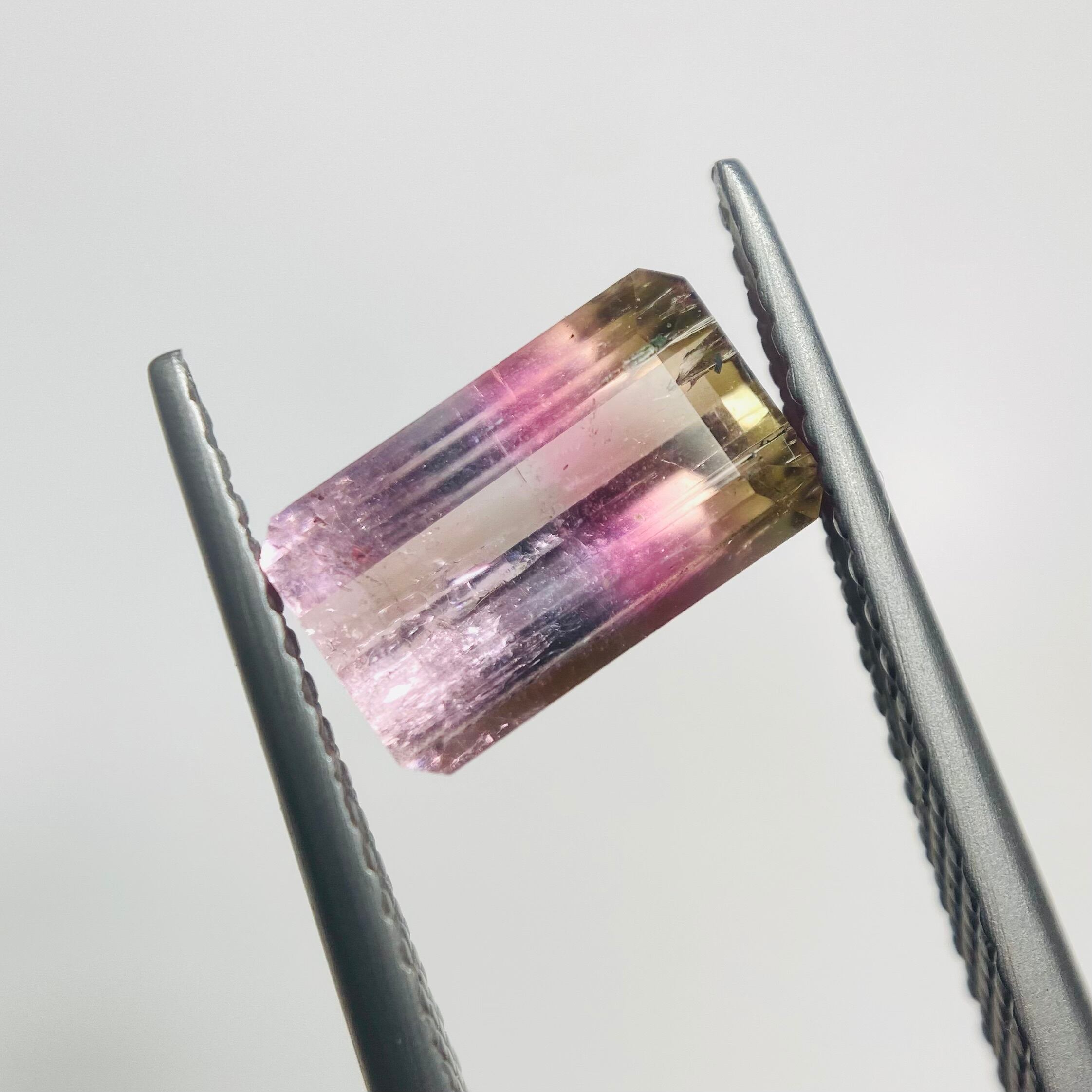 春の花々 パーティーカラートルマリン