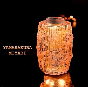 NUTS × 802PRODUCTS BRIESTA 夕桜／YUSAKURA ゴールゼロ | Pay ID