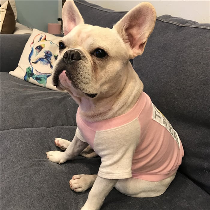 送料無料 Km009tsフレンチブルドック パク 犬服 ドックウェア Tシャツ スマイル ニコニコ ペット服 Dearkm フレンチブルドック孔明