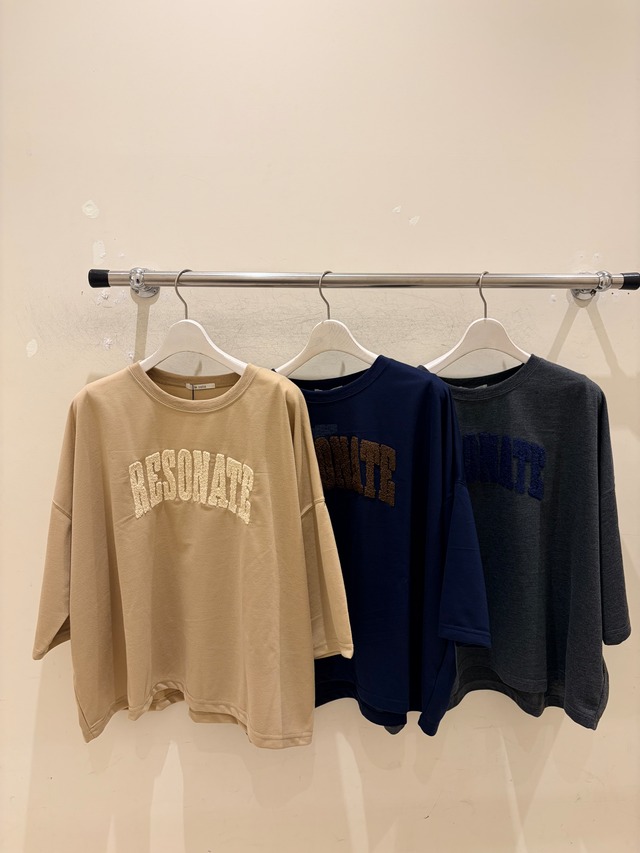ロゴサガラ刺繍ワイドTEE 6646018/le colis