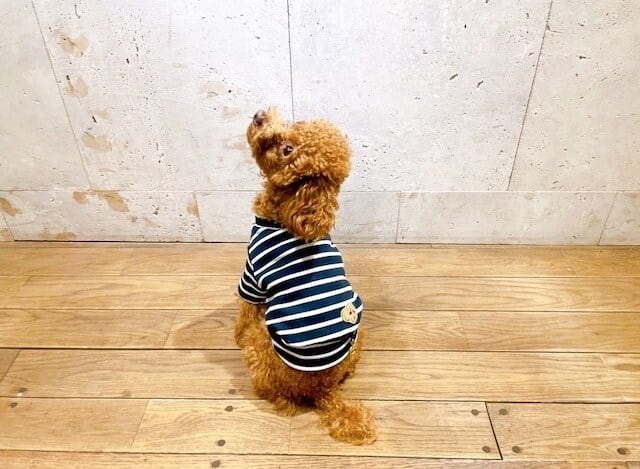 袖あり】太番手ワッペンボーダーカットソー | DENIM ROSE