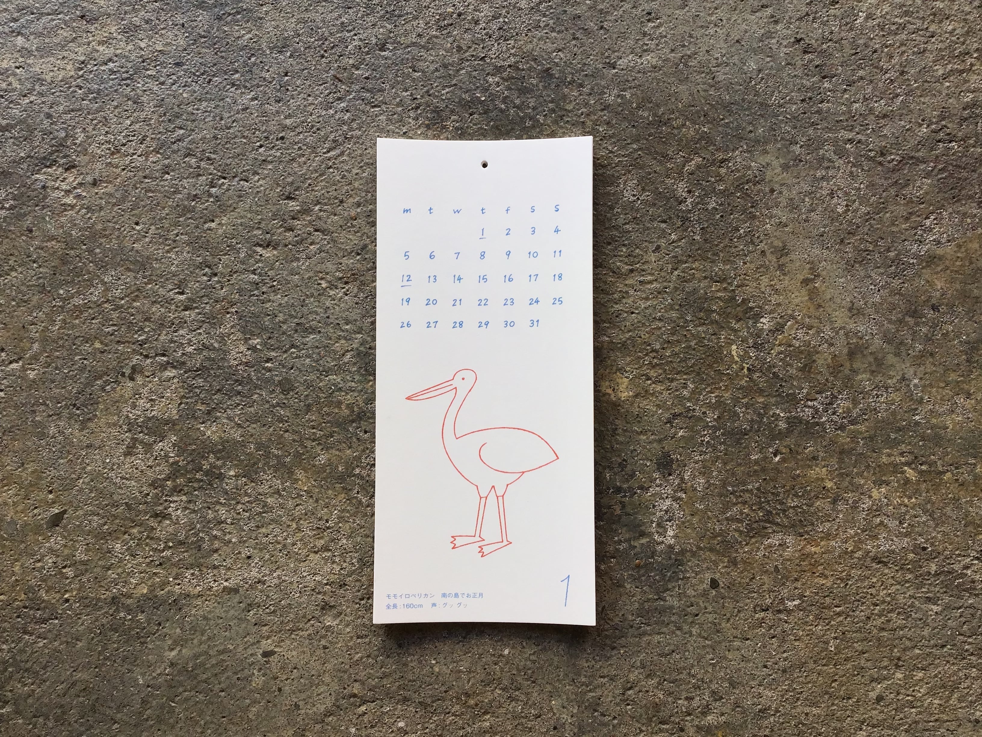 ノラヤ｜2026年カレンダー 海の鳥ごよみ | blank+