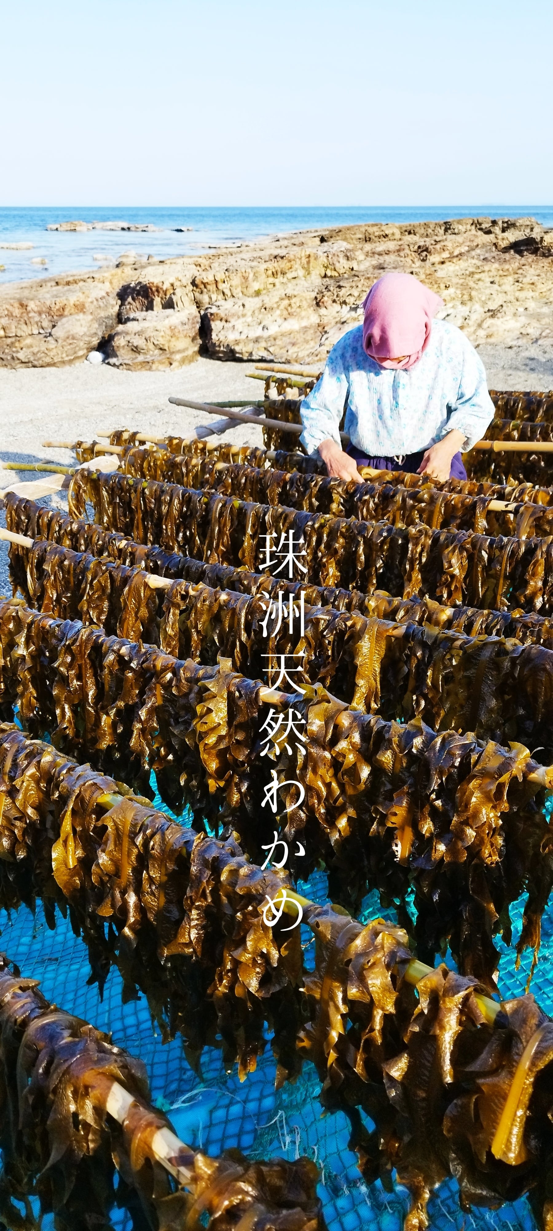 珠洲天然わかめ　45ｇ