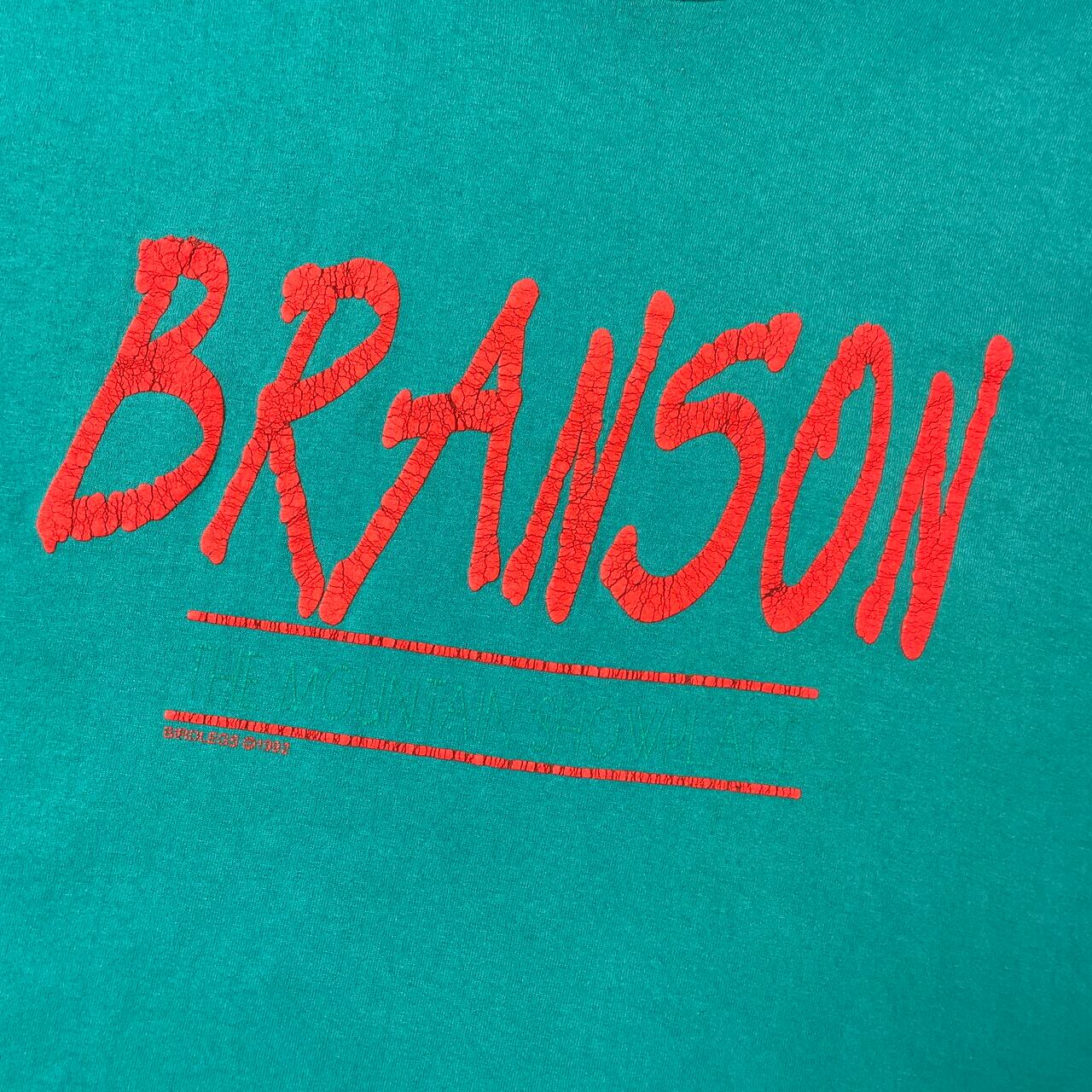 USA製 90年代 BRANSON THE MOUNTAIN SHOWPLACE スーベニア プリント Tシャツ メンズXL 古着 90s ビンテージ  ヴィンテージ シングルステッチ ターコイズグリーン 【Tシャツ】 | cave 古着屋【公式】古着通販サイト powered by BASE