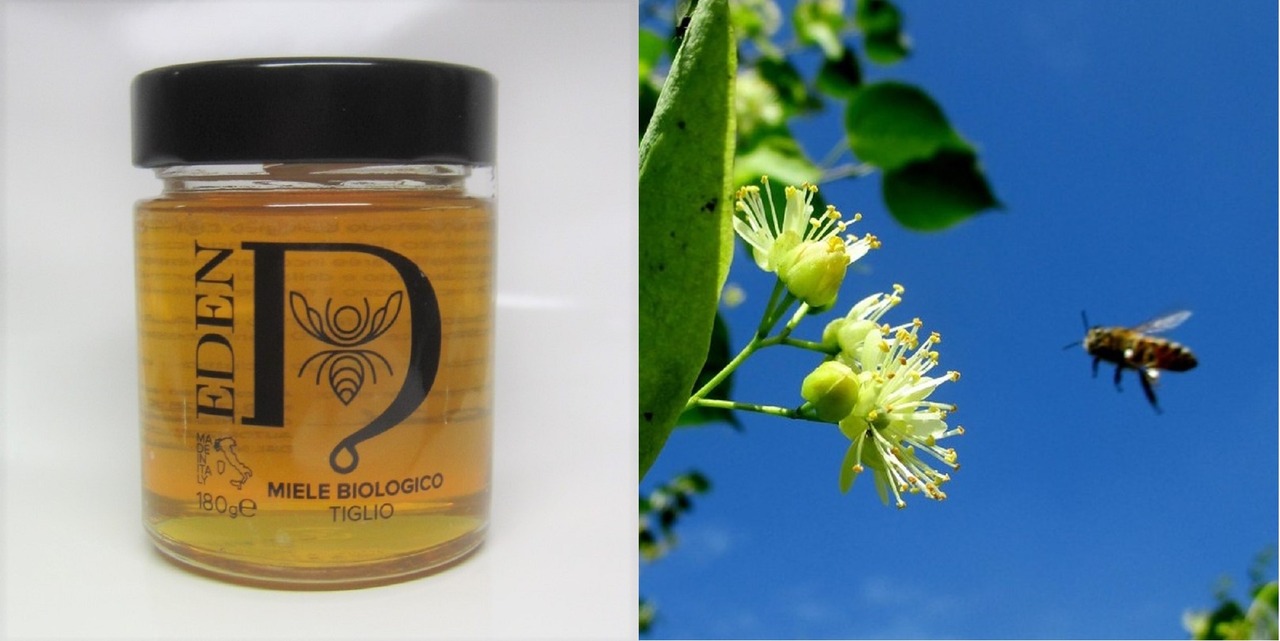 Miele Biologico TIGLIO（リンデン有機認証蜂蜜）180g | 板倉商店
