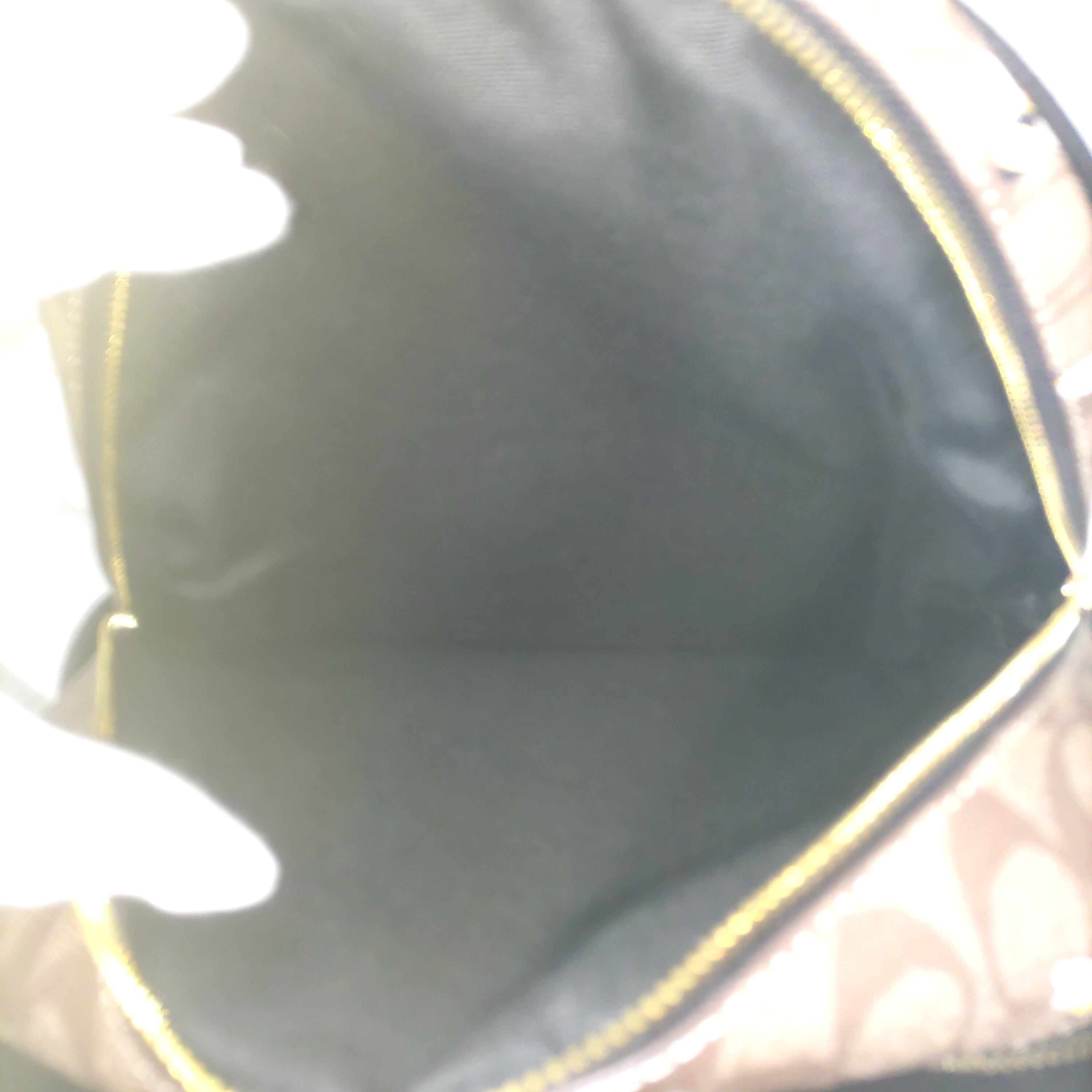 COACH コーチ リュック バッグパック ハチ 蜂 カーキマルチ 新作  