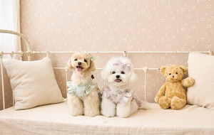 即納【kiki&nini】アメリーローズワンピース　(pink)