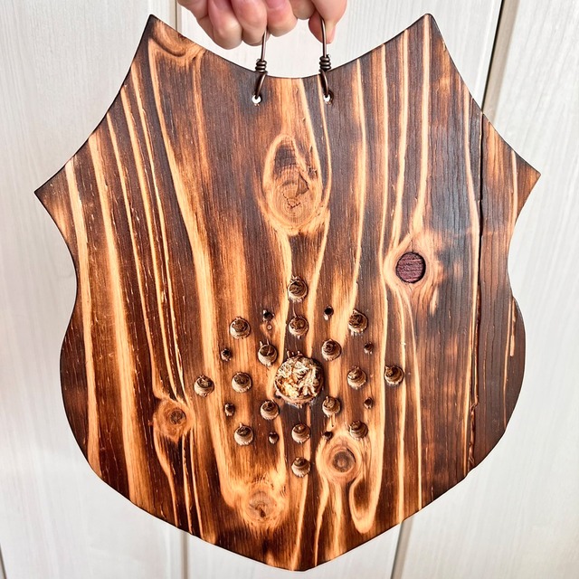 ビカクシダ ホーンズサプライズ 着生板大サイズ 板付 【観葉植物 室内 コウモリラン】