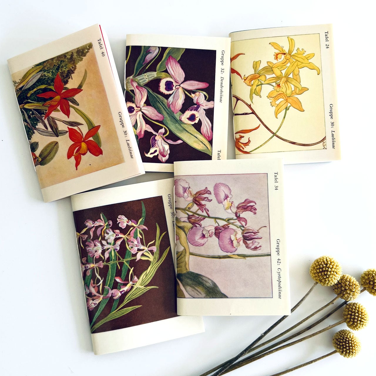 ヴィンテージ植物図鑑 リメイク ミニミニノートブック/ Vintage botanical picture mini book remake  notebook Note