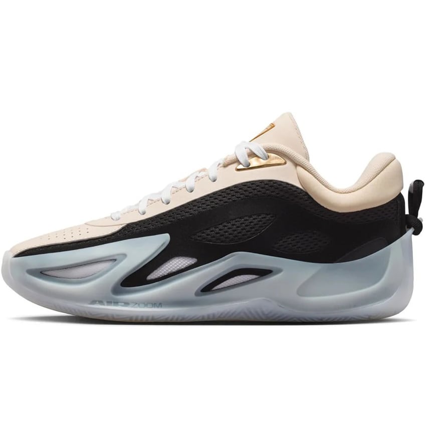 NIKE ナイキ レディース シューズ WMNS JORDAN HEIR SERIES 2 PF