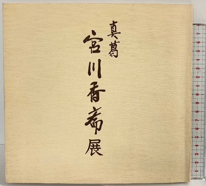 5 安田コレクション5 秘画 伊藤晴雨 論語通解 地獄の女 | 安田コレクション