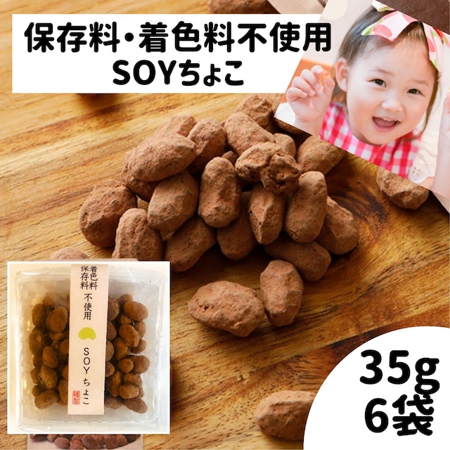 帯SOYちょこ35ｇ×6袋 送料無料 お菓子 生チョコ チョコ 大豆　乳アレルギー対応 ダイエット中 オススメ チャック付き袋 安心 プレゼントにもおすすめ。ビーガン ヴィーガン グルテンフリー ギフト バレンタイン 手土産 ホワイトデー