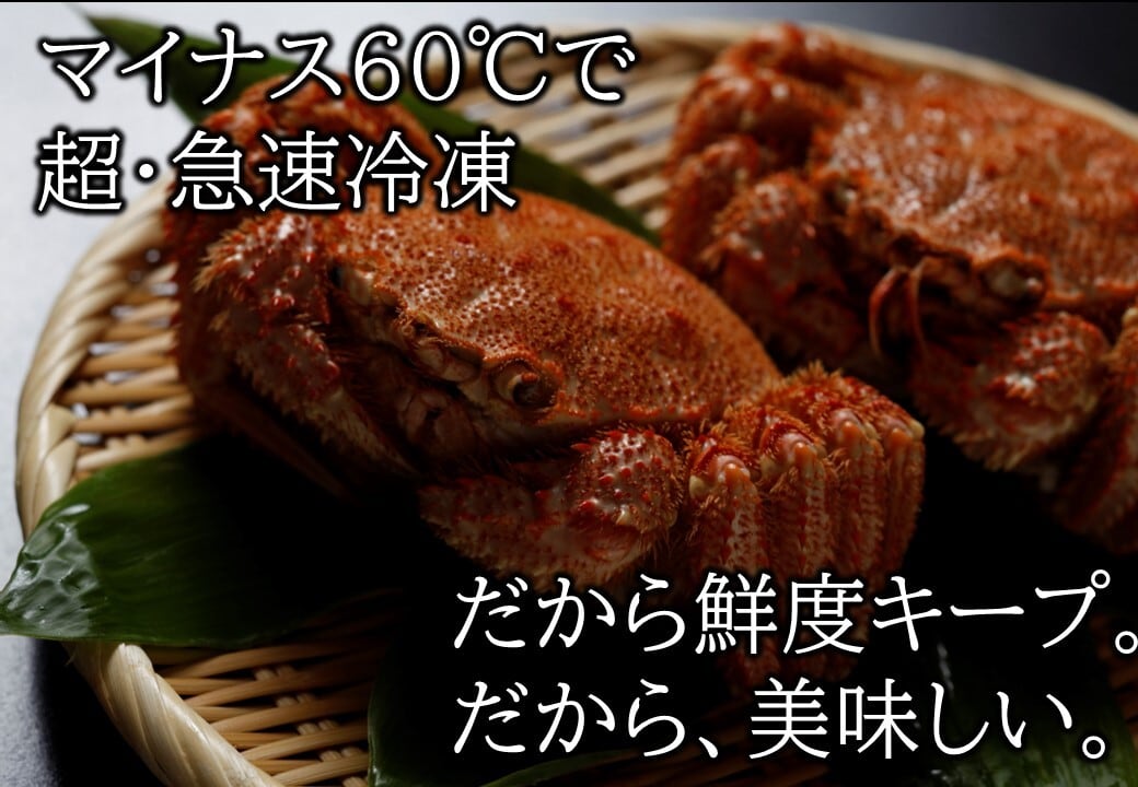 【中古】東北海域・北海道オホーツク海域の魚類?大陸棚斜面未利用資源精密調査 (1983年) 東北海域・北海道オホーツク海域の魚類?大陸棚斜面未利用資源精密調査