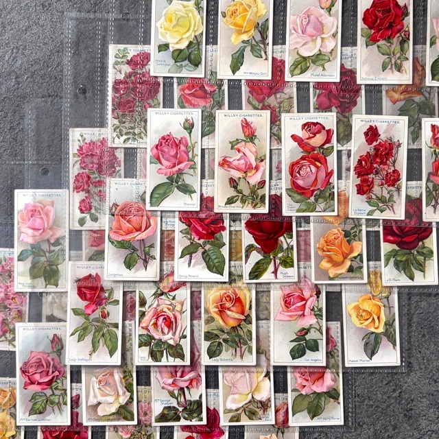 ✦-✦フルセット50枚 Wills社 薔薇･ローズ✦-✦ 英国 ヴィンテージ シガレットカード イギリス 2607001-2