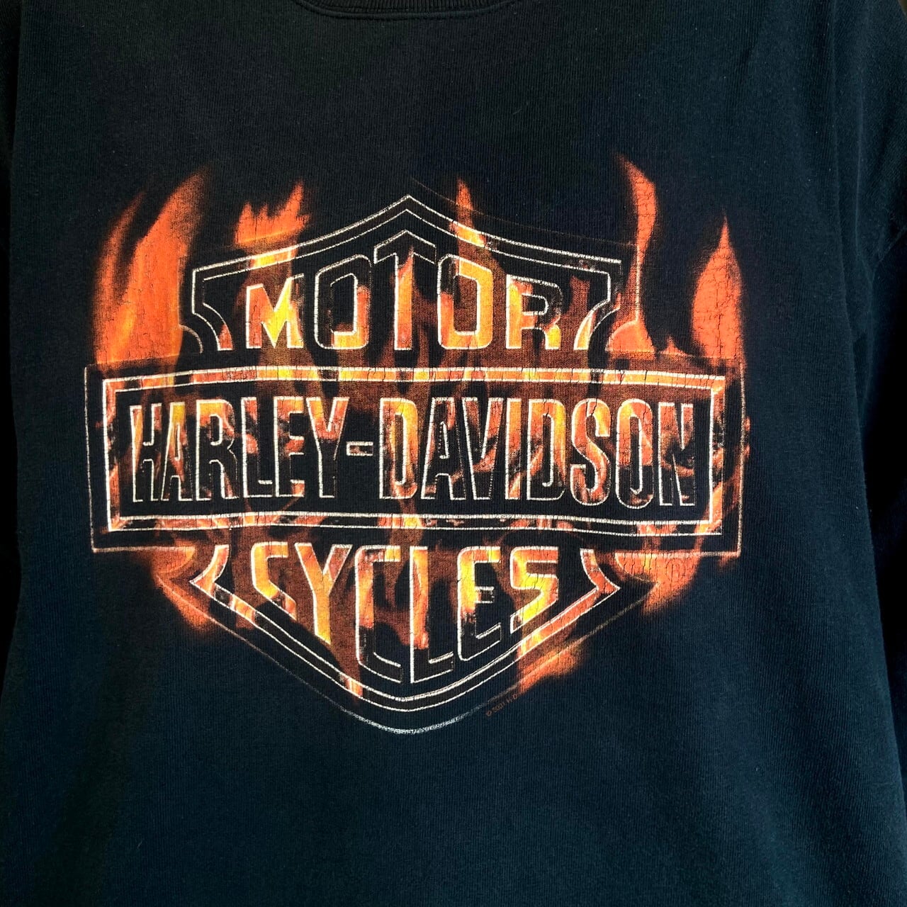 Harley-Davidson ハーレーダビッドソン ロングTシャツ メンズXL Harley-Davidson ハーレーダビッドソン ロングTシャツ メンズXL