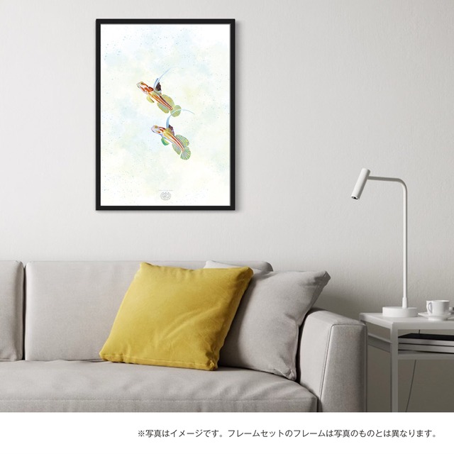 【海のいきものアートポスター／魚】ヤシャハゼ