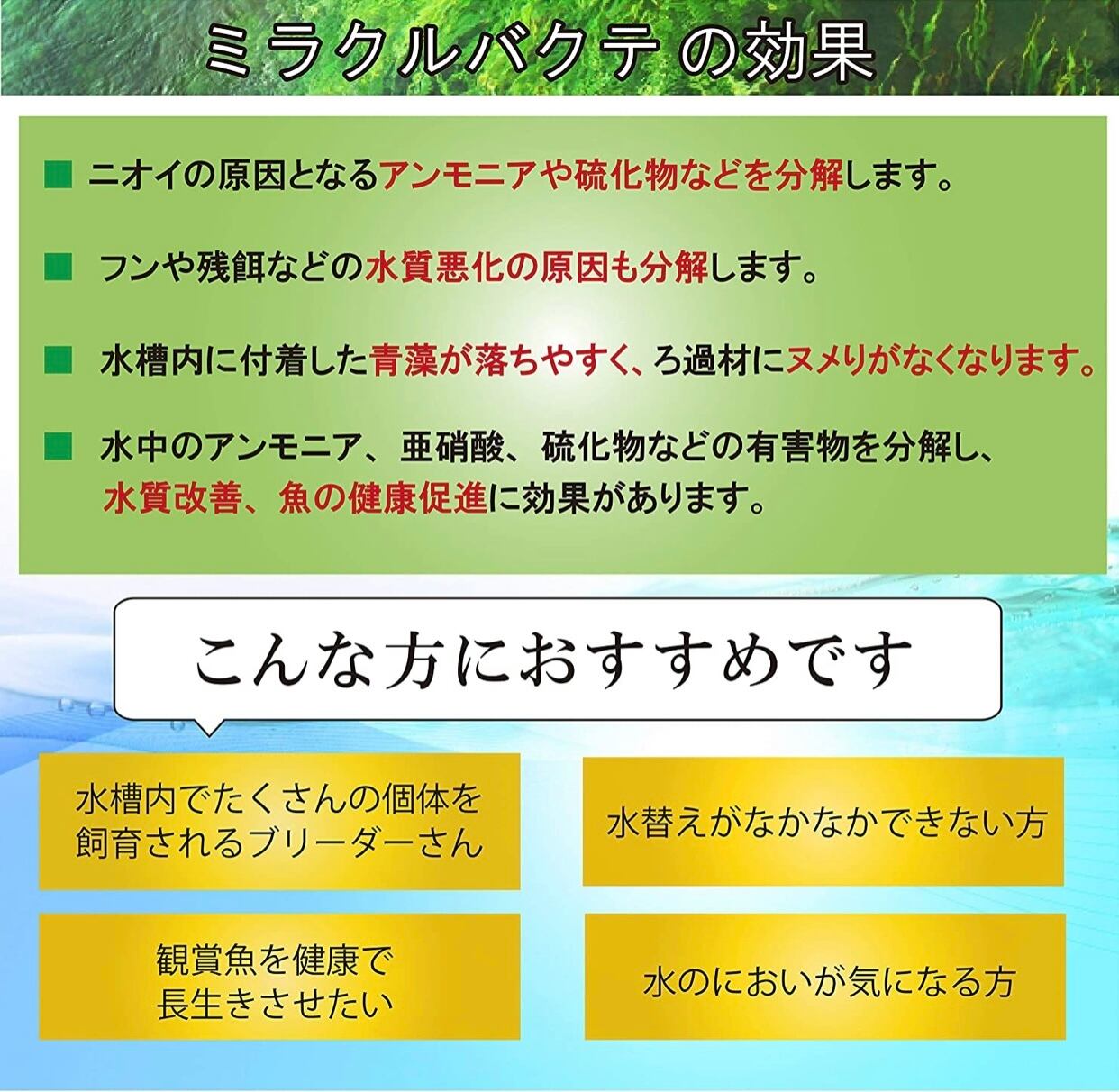 観賞魚の水質浄化安定剤 ミラクルバクテs 粉末タイプ Goldfish Land 金魚屋