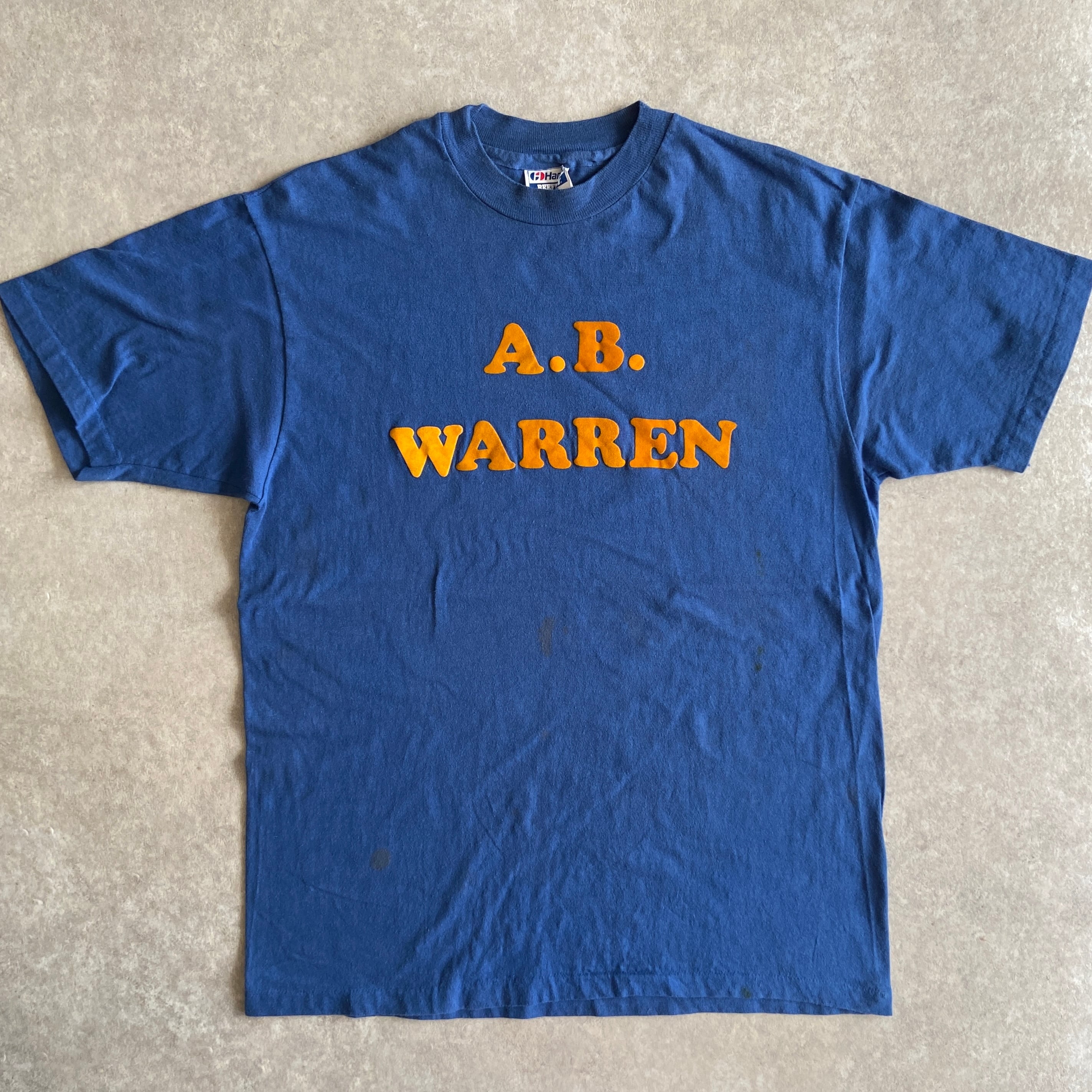 1980s Hanes Flocky Tee L Made in USA G895