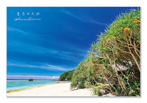 奄美ポストカード「夏色の大浜」