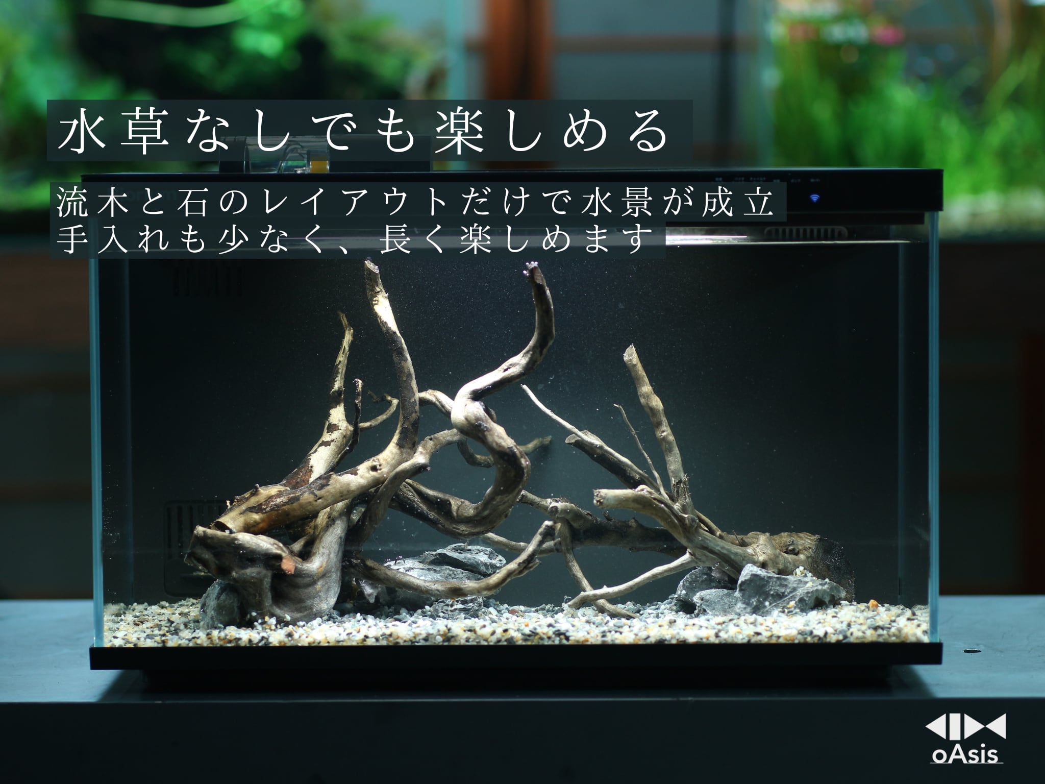 Biorium専用アクアリウムレイアウトベース スタンダードプラン | 水槽