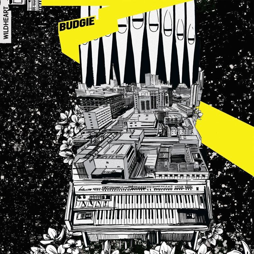 PASTEL BLEND レコード 自主盤 天然物のカラーは 全部違うヤレしてくれるし 純正カラーでも